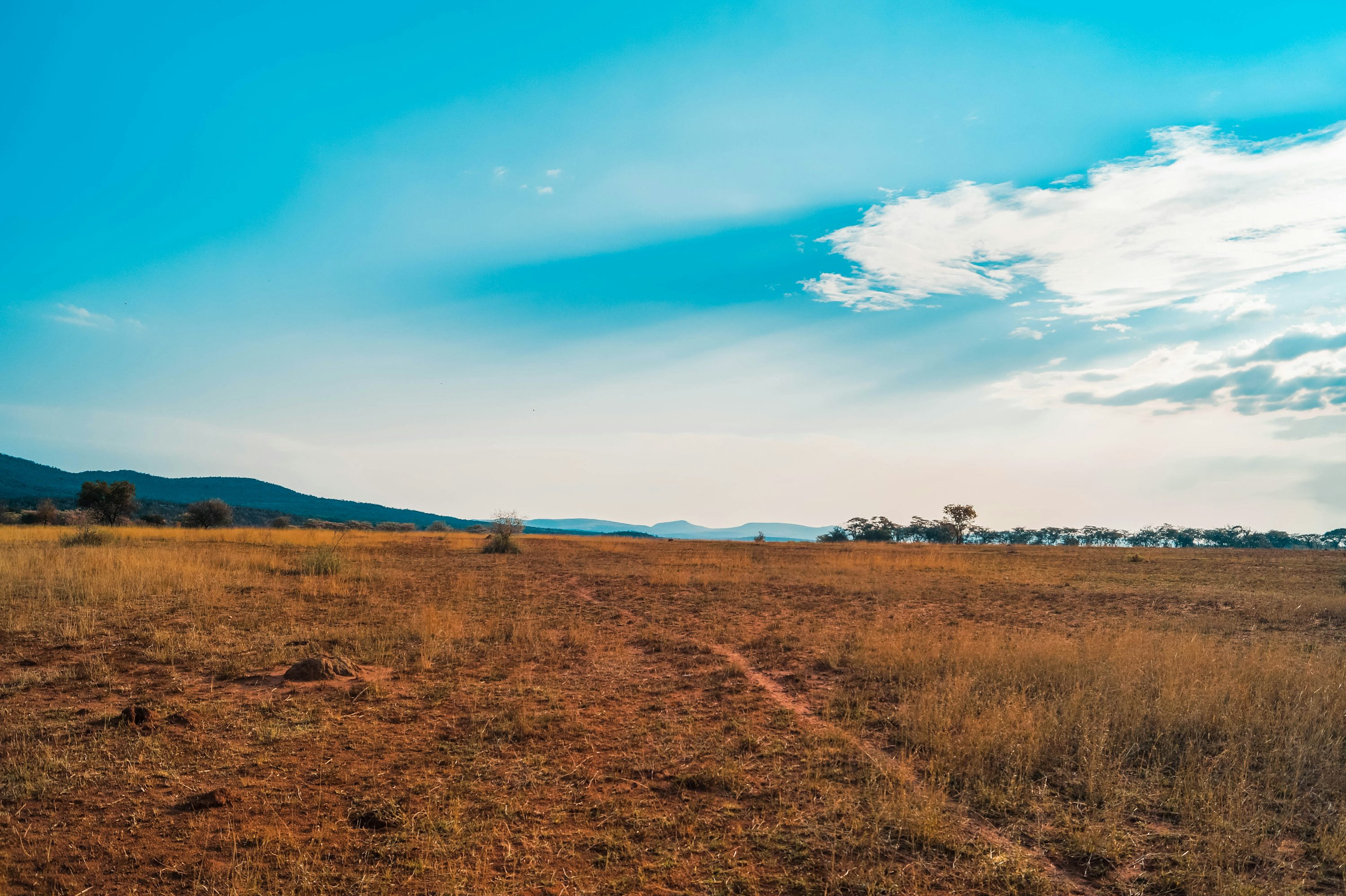 Land Property